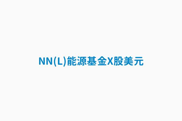 Nn L 能源基金x股美元 基金規模 百萬 115 20